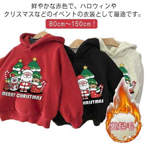 q T^ p[J[ N T^ XEFbg g[i[ gbvX j̎q ̎q q  xr[ NX}Xߑ h ŒgLbYp~