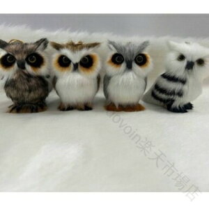 2Zbg u tNE ObY ~j`A CeA ʂ  _炩 ӂӂ 킢 蕨  lC   蕨 ԓANZT[ v[g Mtg