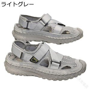 Xj[J[ Y y X|[cT_  zC Ȑ ^C ~ X|[cV[Y ₷ ~ Xb| WMO EH[LO ʊw gbLO  s 