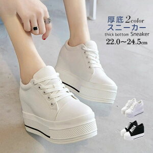 Xj[J[   fB[X C V[Y Cq[L [XAbv Xj[J[  Xj[J[ V[Y \[ r  킢   JWA 
