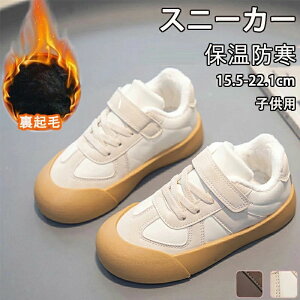 LbYV[Y ^C ʊwC qC N LbY WjA Xj[J[ ʊw jOV[Y qǂ ̎q j̎q WjA y RۖhL ₷ ct Cws nCL