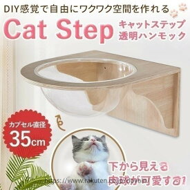 透明空間で猫と暮らすおしゃれDIY 壁面活用の木製キャットウォーク 愛猫のための機能美 ナチュラルインテリアに溶け込む猫カプセル 遊びと休息を両立 丈夫な棚板で安全設計