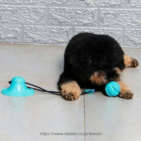 犬 噛む おもちゃ 犬用 ロープ 玩具 吸盤 ボール 小 中 大型犬 運動不足 解消 引っ張りっこ お家で 遊ぼう 食べながら 遊ぶ ペット ワンちゃん ストレス 解消 歯磨き 送料無料