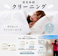 ＼レビュー高評価★4.7以上／ 羽毛布団クリーニング ファミリーコース 2枚同時洗い 家族限定 完全個別洗…