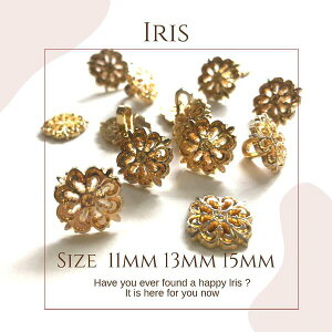 S[h{^@CO{^@C|[g{^@ACX@ڂ@S[h{^@a025