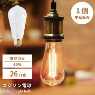 エジソン球（Sサイズ） エジソンバルブ 電球 白熱球 ライト 照明 間接照明 E26 60W レトロ 復刻版 ペンダ…