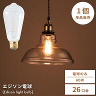 エジソン球 （Lサイズ） エジソンバルブ 電球 白熱球 ライト 照明 間接照明 E26 60W レトロ 復刻版 ペン…