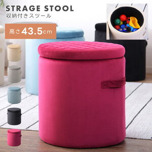 [Xc[  43.5cm CX ֎q 킢  mg[ k d ߗ ʂ qǂ NbV W O l炵  ~  ubN pXe 