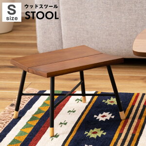 Xc[ `FA ֎q CX  lp TChe[u ԑ t[X^h fBXvC Vv X`[ _ ؐ VR uE  rO  25cm 