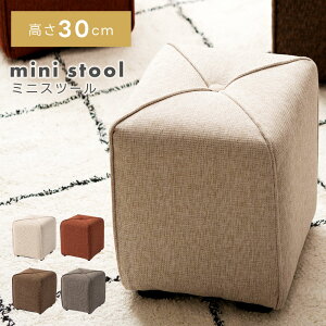 Xc[ 30cm i `FA ֎q  CX  k ؐ ~j XNGA lp   l炵 RpNg y ^  rO qǂ ؃t[ zn t@u