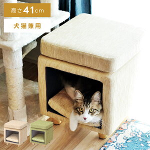 ybgnEX Xc[ `FA ֎q CX   | wȂ A[X IȂ Vv ybg  L Ck lR  NbVt rt 킢  41cm y