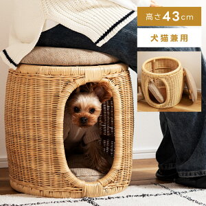 ybgnEX 43cm Xc[ `FA ֎q CX  ^   | wȂ IȂ Vv  L Ck lR  NbVt 킢 IV y y t@u