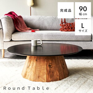 [e[u 90cm Z^[e[u R[q[e[u Ehe[u ۃe[u  Vv Í ؐ VR ubN _ \t@ rO 32 l炵 i` 