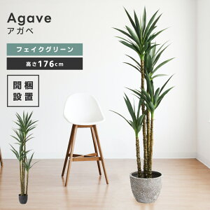 _ 20%OFFN[| 12/2 23:59 ^ tFCNO[  lHϗt ϗtA CeA  [t AKx Vv  A ȒP i Pi̔ JtF 