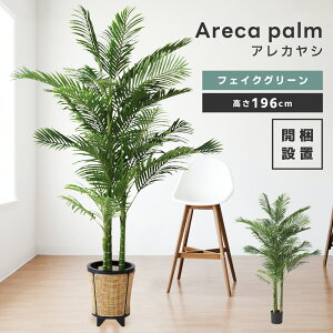 tFCNO[  lHϗt ϗtA CeA  [t AJV Vv  A ȒP i Pi̔ JtF 