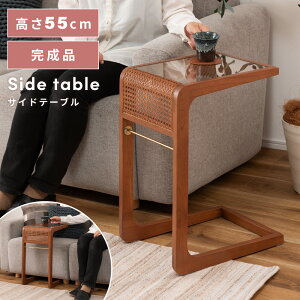 TChe[u KXe[u p  iCge[u ~je[u VR 55cm 30cm 30Z` a_   AWA  GXjbN ][g \t@e[u ^ 