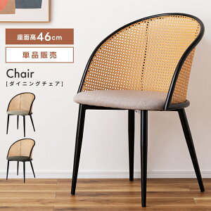 _CjO`FA  ֎q CX ^ i Œr k _ ʍ46cm X^CbV wꂠ X`[ Vv i` _[NO[ |G` t@ubN