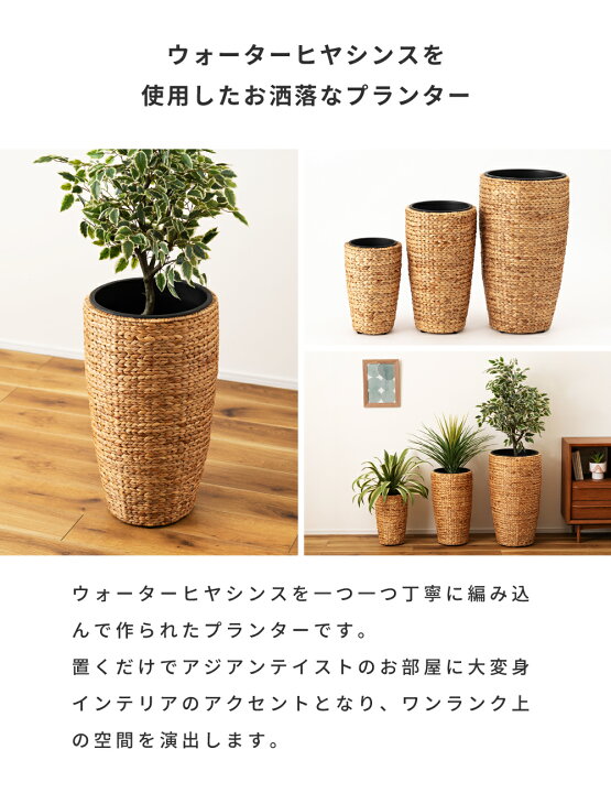 楽天市場】【 全品20%OFFクーポン 2日23:59迄 】 【Lサイズ 
