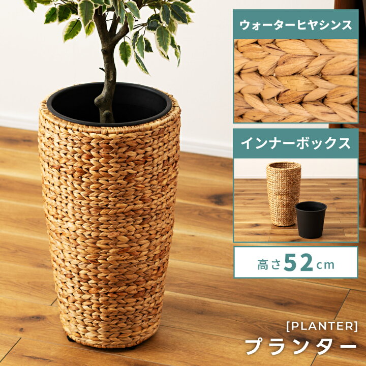楽天市場】【Mサイズ】プランター ウォーターヒヤシンス 鉢植え 植木 