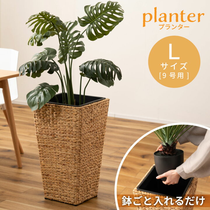 楽天市場】【Lサイズ】プランター ウォーターヒヤシンス 鉢植え 植木 