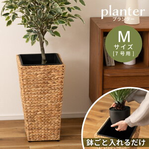 _ g10%OFFN[|I ^ yMTCYzv^[ EH[^[qVX A A؃|bg Ԋ Aؗe Aؔ | CeA  ԑ p^ y 7 i 29cm 52.5cm