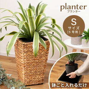 _ g10%OFFN[|I ^ ySTCYzv^[ EH[^[qVX A A؃|bg Ԋ Aؗe Aؔ | CeA  ԑ p^ y 5 i 23cm 37cm 