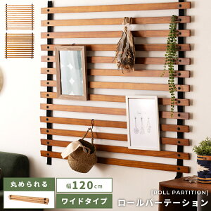 [p[e[V Ԏd؂ J[e [ Ch^Cv L 120 ؐ VR | `F[  i` ăACe 