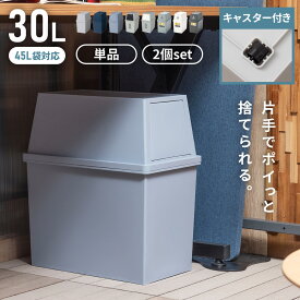 ごみ箱 30リットル 2個セット くずかご ダストボックス 2段 ワイド ふた付き おしゃれ 屋外 上 ラック リビング 棚 縦型 横型 四角 うえ 収納 インテリア 移動 ペットボトル プッシュ式 空き缶 スリム 台 台所 リビング フロントオープン