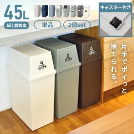 ゴミ箱 45リットル 2個セット おしゃれ ごみ箱 屋外 スリム 分別 ふた 付き キッチン 可愛い 45 リットル 大容量 ごみ 縦型 コンパクト 45l 空き缶 インテリア かわいい カウンター 重ねる キャスター付き 蓋付き 子供部屋 寝室 洗面所