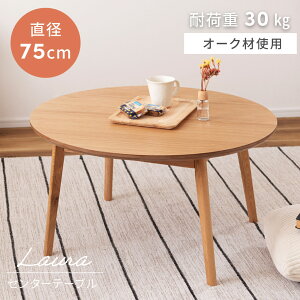_ g10%OFFN[| ^ [e[u rOe[u Z^[e[u ؐ VR i` 75cm 38cm Vv \t@ ֎q l炵 lp Eh ی^ T[N