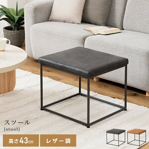 Xc[  `FA ֎q IV 47cm 킢 ؍ JtF  X`[ gݗ |֎q  RpNg TChe[u ɂȂ J lp ubN Ibg} L 