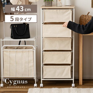 `FXg  k 5i X`[ l炵 z  LX^[  I i` ߗ y LX^[t 킢 rO zCg m [ X IV Lb` Vt 