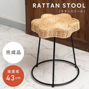 Xc[ 43cm `FA  ֎q CX  | ^  ][g AWA i ԑ e[u fBXvC qp Cp  rO _CjO _ CeA 