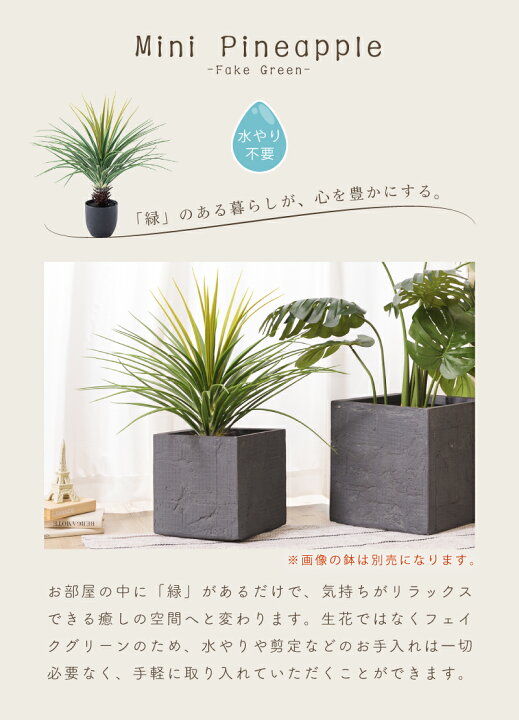楽天市場】フェイクグリーン ミニパイナップル 多肉植物 人工観葉 観葉 