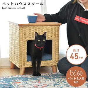 Xc[ ybgnEX `FA ֎q CX  | wȂ A[X IȂ TChe[u ybg  L Ck lR NbV rt 킢 ^  ؐ VR Rbg