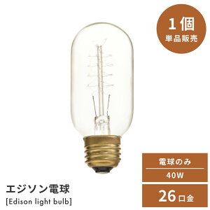 _ 20%OFFN[| 223:59! ^ d Pi̔ d̂  GW\ gd Md GW\d E26 40W AeB[N IV Be[W Ɩ dC Vv 1 gF 