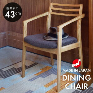 _CjO`FA ʍ43cm `FA ֎q CX  { Y H֎q VR ؐ EHibg I[N zng It w _CjO rO Vv ʍ 43cm _ 