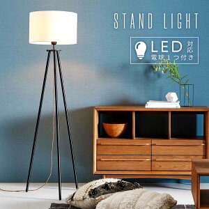 Ɩ Cg LEDΉ k Md GW\d m dt  킢 X^hCg ԐڏƖ 151cm  VF[h tbgXCb` 