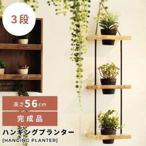 K[fjO v^[ 3i x_ nMO  Ǌ| Ebh ؐ X`[ y O[ i  RpNg  ^Cv ƒ؉ K[f fBXvC 56cm  