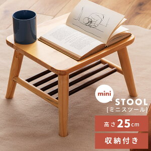 Xc[ ~jXc[ `FA  ֎q CX   Ⴂ RpNg k VR ؐ wȂ A[X IȂ i` Vv | 25cm [t [ 