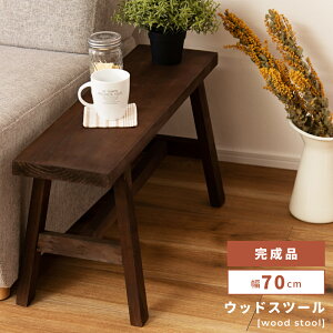 Xc[ `FA ֎q CX   | wȂ A[X IȂ VR ؐ  Vv uE 36cm i Pi ԑ fBXvC TChe[u RpNg  