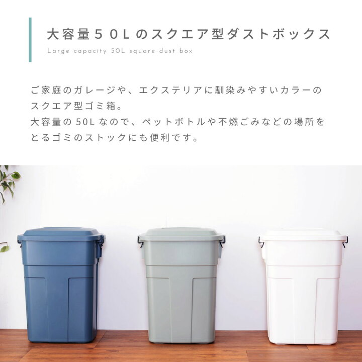Ap ダストボックス 50l 50リットル 126b おしゃれ アスト キッチン ゴミ箱 スリム フタ付き 大きい 大型 大容量 家庭用 悪臭防止 防臭 売り切り御免 50l