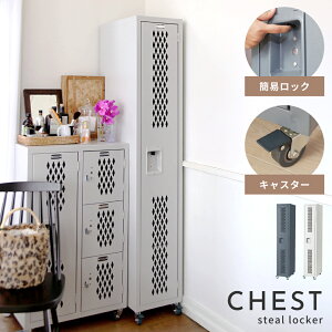 _ g10%OFFN[| ^ `FXg LX^[t Ch bJ[ rO  IV s45.5 168cm X`[ g 30.5 [ LX^[ 킢 lp m l[