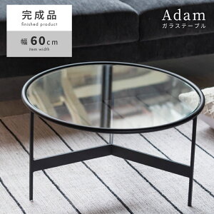 [e[u 60cm TChe[u KXe[u ~je[u lXge[u Eh ی^ ~`  Vv RpNg ACA ubN KX rO Z^[e[