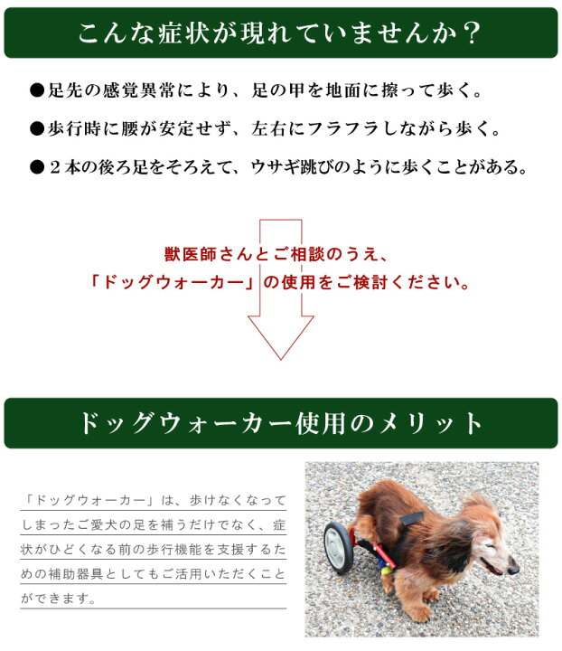 楽天市場】【ポイント5倍！】 【ミニチュアダックスフンド用】 犬用 