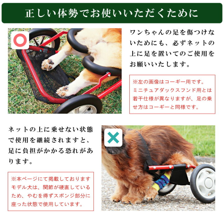 楽天市場】【ポイント5倍！】 【ミニチュアダックスフンド用】 犬用 