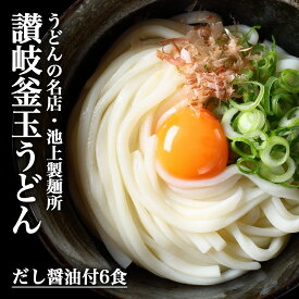 半額以下60%OFFクーポン 讃岐の名店 池上製麺所 釜玉うどん 6食 だし醤油付 送料無料 うどん 香川 讃岐 讃岐うどん さぬき さぬきうどん 生麺 生めん ご当地グルメ ギフト お取り寄せ 食品 お歳暮
