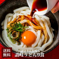 1000円ポッキリ 送料無料 讃岐うどん 取り寄せ 極太麺 普通麺 お土産 セット 香川 うどん ギフト ご当地…