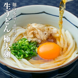 ポイント10倍 1000円 送料無料 ポッキリ! 讃岐生うどん9食セット 【極太麺】 (麺300g×3袋 ) 麺のみ 香川県 産地直送 お試し ポイント消化 送料無 お取り寄せ 在庫処分 フード おすすめ グルメ食