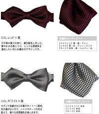 蝶ネクタイチェック